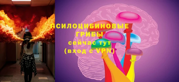 шишки Зерноград