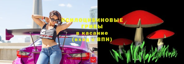гидра Зеленокумск