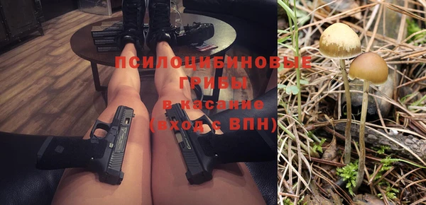 гидра Зеленокумск