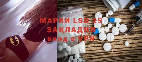 стафф Новозыбков