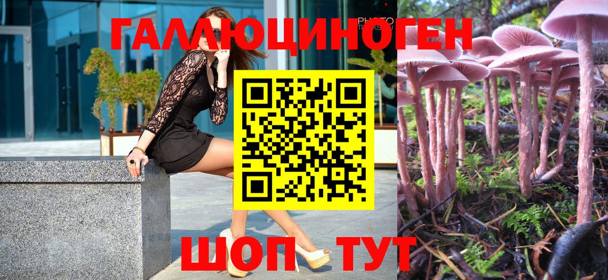 Галлюциногенные грибы Psilocybe Канск