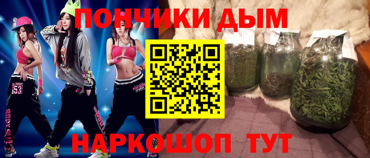 Бошки Шишки сатива Канск